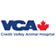 VCA