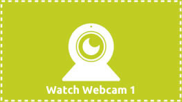 Watch Webcam 1 - Barks n' Rec