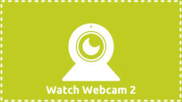 Watch Webcam 2 - Barks n' Rec