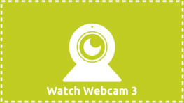 Watch Webcam 3 - Barks n' Rec