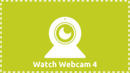 Watch Webcam 4 - Barks n' Rec